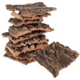 Totority 10 PCS Cork Tile Background Bark 3.93X3.54X0.20in Terrarium Backdrop Wall Decor Natural Reptile Climbing Mat Habitat Decor for Spider Gecko Lizard Chameleon Bearded Dragon Turtle