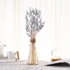 120pcs Gray Bunny Tail Pampas Grass Dried Flowers for Vase