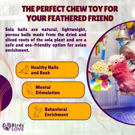 Birds LOVE Hanging Sola Balls Yum Yum with Hanging Bell (Single Sola Ball, 2.00)