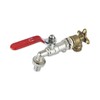 Wärmer System Outside Garden Tap with Check Valve and Wallplate