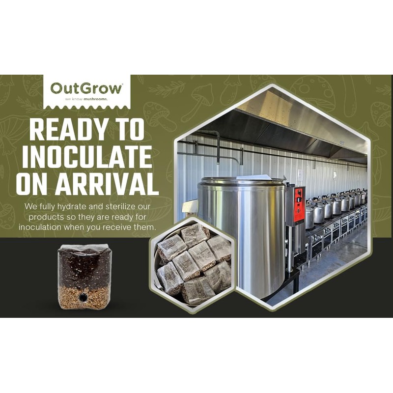 Mini All in One Mushroom Grow Bag