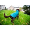 Henry Wag Quilted Dog Jacket - Stylish & Practical Dog