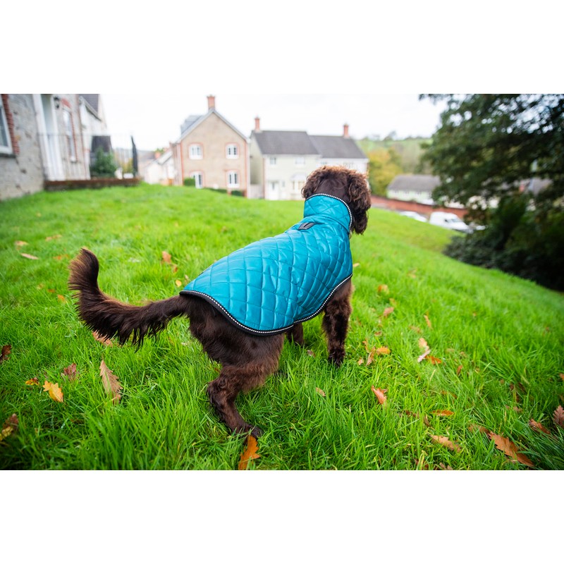 Henry Wag Quilted Dog Jacket - Stylish & Practical Dog