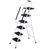SEGAWE 5 Step Ladder with Handgrip 330Lbs Steel Step Stool