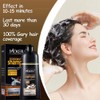 Instant Chestnut Brown Hair Shampoo for Gray Hair - Herbal