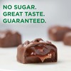 RUSSELL STOVER Sugar Free Assorted Caramels in Chocolate Candy, 15.3