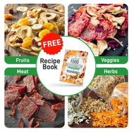 Electric Countertop Food Dehydrator Machine - 350-Watt Premium Multi-Tier Meat Beef Jerky Maker Fruit/Vegetable Dryer w/ 4 Stainless Steel Trays, Digital Timer, Temperature Control - NutriChef NCDH4S