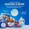 Lysol Laundry Sanitizer Additive, Free & Clear, Free from Fragrance