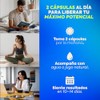 Melena Leon Complejo Carnitina Concentracion Memoria Nootropico Reforzado Tirosina Bacopa