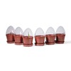 Kimmel Propagation Pots Set of 6, Without Storage Box, 6