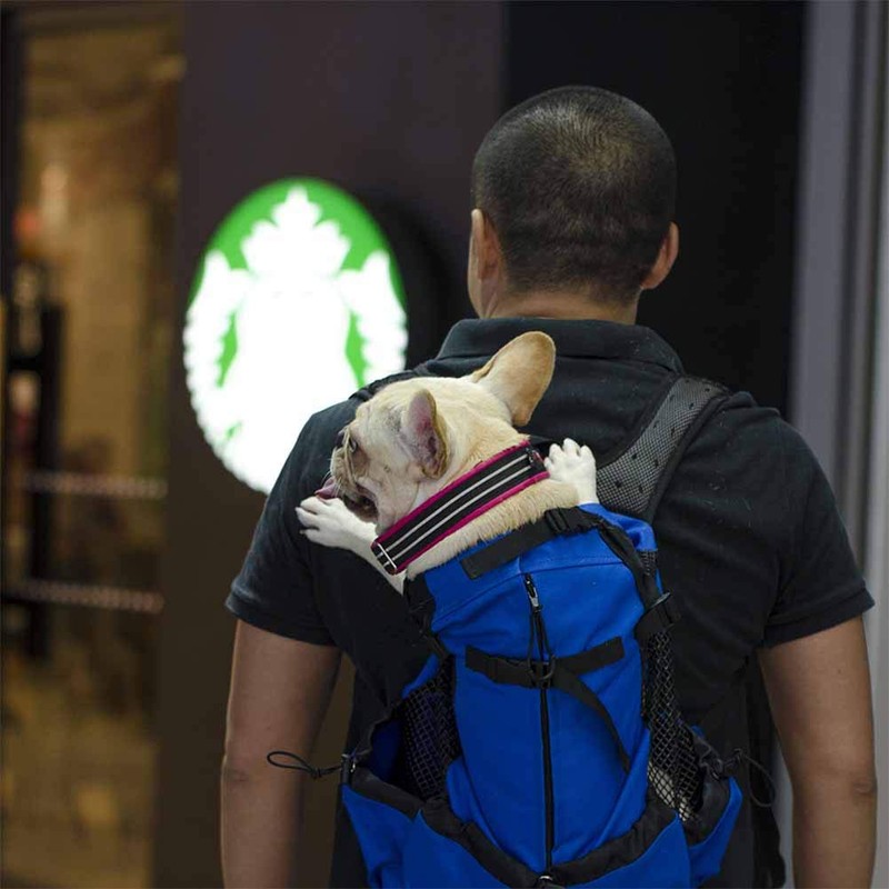 Woolala Light Weight Pet Carrier Backpack for Small and Medium