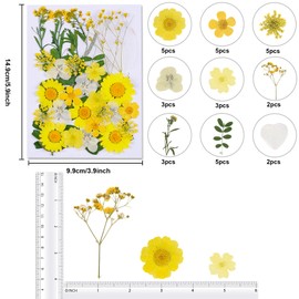 Dried Pressed Flowers, Natural Dried Flowers, Real Pressed Flowers, Colorful Dry Flowers for Resin Jewelry Nail Art Craft DIY (Yellow)