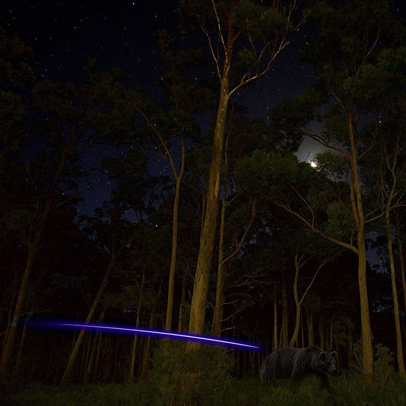 (Blue) - XHYCKJ 6PCS S Led Lighted Nocks for Arrows