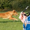 Gearmax 2 Pcs Dog Whistle Adjustable Pitch Ultrasonic Dog Training