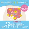菌トレ習慣 ビフィズス菌 乳酸菌 オリゴ糖 ラクトフェリン サプリメント タブレット 2個セット