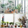 Maven Gifts Plant Watering Globes 4 Pack - Ø 5cm