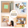 400 PCS White Drawing Pins Kit Round Head Thumbtacks Metal