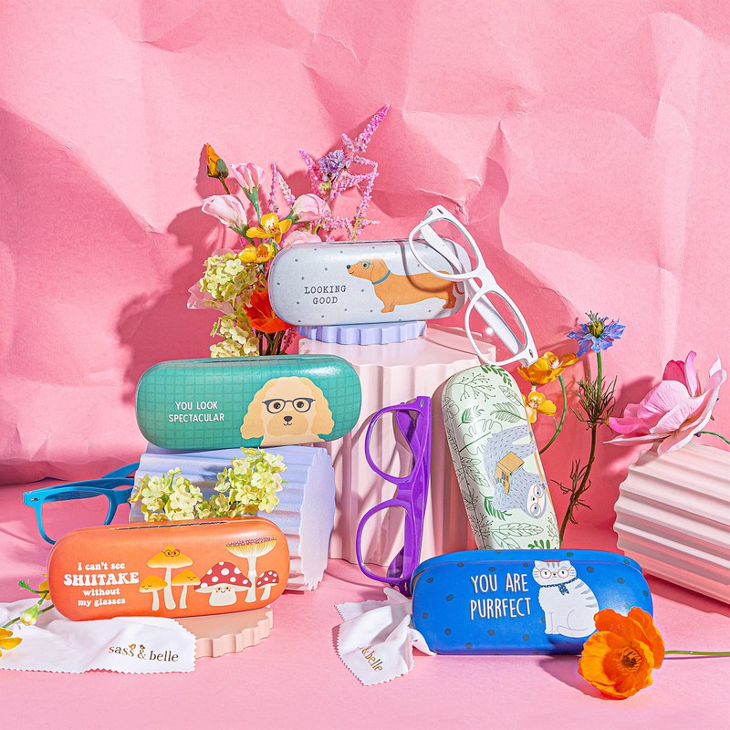Sass & Belle Sloth Glasses Case