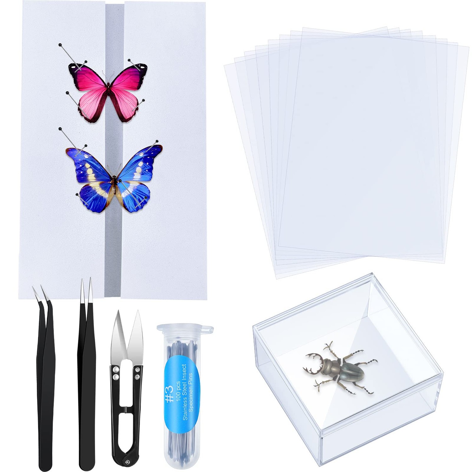 Taiyin 14 Pieces Insect Specimen Tools Kit Insect Display Case Box with ...
