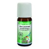 LAVENDEL Oil Organic 10 ml