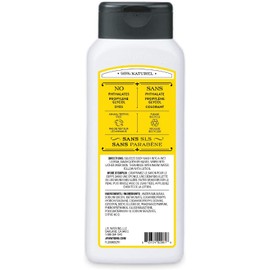 J.R. Watkins Daily Moisturizing Lemon Cream Body Wash, 18 Ounce