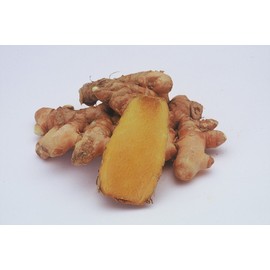 Nano Active Tropical Turmeric Capsules 239mg X 90 Grain