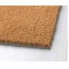Daylor Coir Entry Doormat Door Mat Funny Go Away Unless
