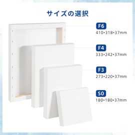 HANSILK 3D CANVAS F4 13.2 x 9.5 inches (336 x 242 mm), Thickness 1.5 inches (37 mm), Can be Drawn on Sides, 2 Pieces, Wrapped Canvas Board, Stretched Canvas, Synthetic Cotton, Medium Grain, Painting