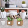 20 Set Mini Succulent Pot and Kraft Paper Bag, Waterproof