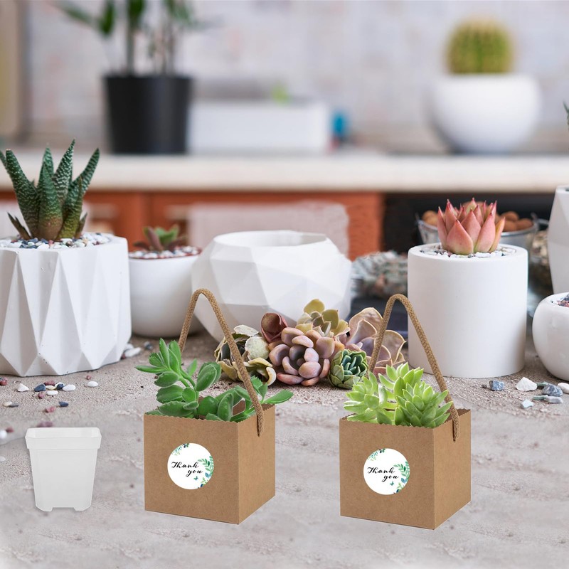 20 Set Mini Succulent Pot and Kraft Paper Bag, Waterproof
