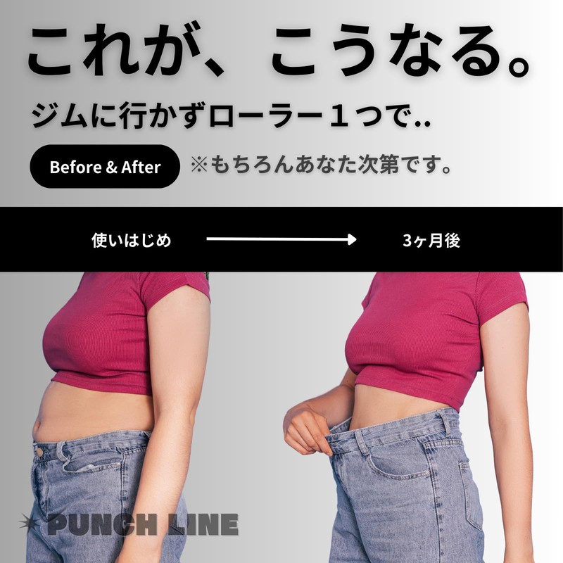 PUNCH LINE Ab Wheel Abdominal Roller, Abdominal Abs, Single Type,