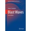 Blast Waves (Shock Wave and High Pressure Phenomena)