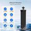 BELVITA Water Filter Replacement for Berkey® BB9-2® Black Filters, Berkey®