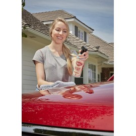 GOLDEN SHINE Waterless Car Wash, 1 Gallon Bottle 12128