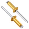 Wensilon (300 Pcs) 5/32"x5/8" Golden Aluminum blind pro Rivets,Golden Aluminum