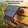 Brendz Paso Solar Outdoor Light with Motion Sensor, 1000 Lumens,