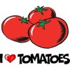 CafePress I Love Tomatoes Square Sticker 3 X 3 Square