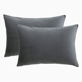 RainRoad Velvet Decorative Throw Pillow Covers Cushion Cover Pillow Case for Sofa Couch Bed Chair Soft Square Gray Throw Pillows 12x20 Inch,Set of 2