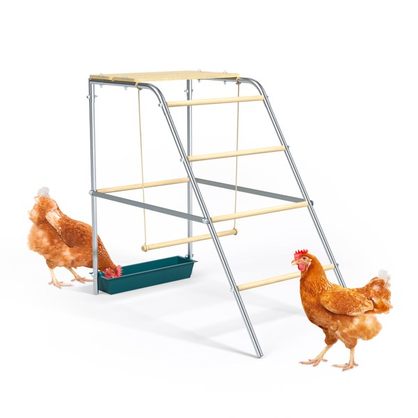 Chicken Coop Roosting Perch Essentials：Perfect for Backyard Poultry, Easy Installation