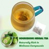 Jarteela - Bitter Melon Tea Bags - 2g x 50