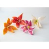 Crystal Candy Make-a-Tiger-Lily Wafer-Paper Flowers, Yellow
