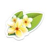 Hawaiian Flowers Plumeria Beautiful - 3" Vinyl Sticker - for