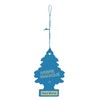Air Freshener Wunderbaum 'Fresh Water'