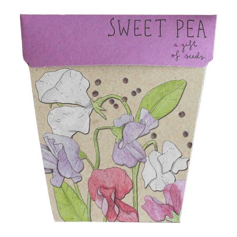 SOW 'N SOW Gift of Seeds - different styles, Poppy