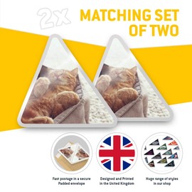 2 x Triangle Stickers 10 cm - ny Sleeping Ginger Cat Kitten Fun Decals for Laptops,Tablets,Luggage,Scrap Booking,Fridges #21072