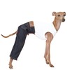 D Doggy Star Italian Greyhound Clothes Sleeveless Jeans Onesie Outfit