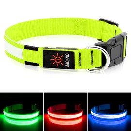 BSEEN Light Up Dog Collar - USB Rechargeable Reflective Puppy Collar, High Visibility Glowing Pet Collar for Night Walking (Neon Green, Small)