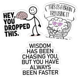 (3Pcs) Funny Brain Humor Stickers Pack Hey You Dropped This Witty Sarcastic Decal Gift Set Laptop Kindle Water Bottle Bumper Boost Your Attitude Today!