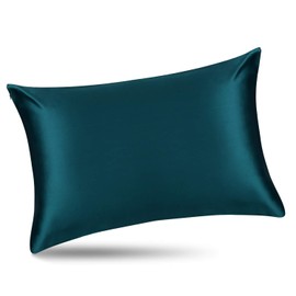 ALASKA BEAR Silk Pillowcase for Hair and Skin Wellness Natural Hypoallergenic 100 Percent Real Mulberry Silk Pillow Slip Cover Standard Size with Zipper (1pc, Teal Turquoise)