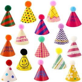 MEIYOUJU AM 15 Pcs Birthday Party Cone Hats Party Hats Birthday Hats Assorted Birthday Party Hats for Kids Adults Party Supplies Party Decoration